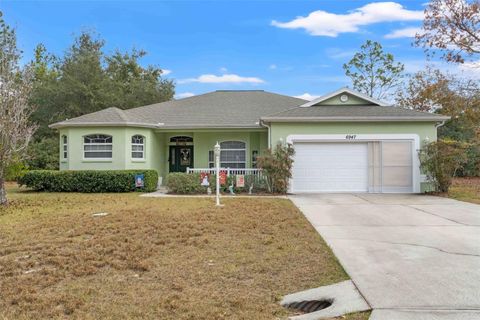 A home in CITRUS SPRINGS