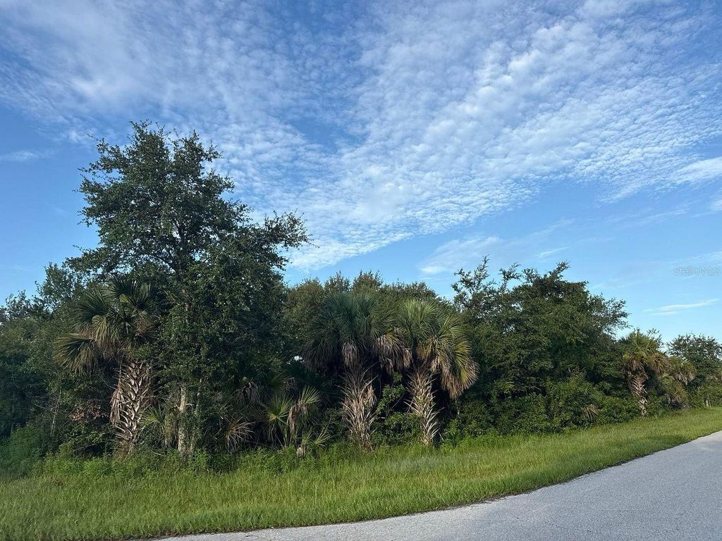 Photo of 398 Sycamore Street, Port Charlotte, FL 33954 (MLS # TB8416518)