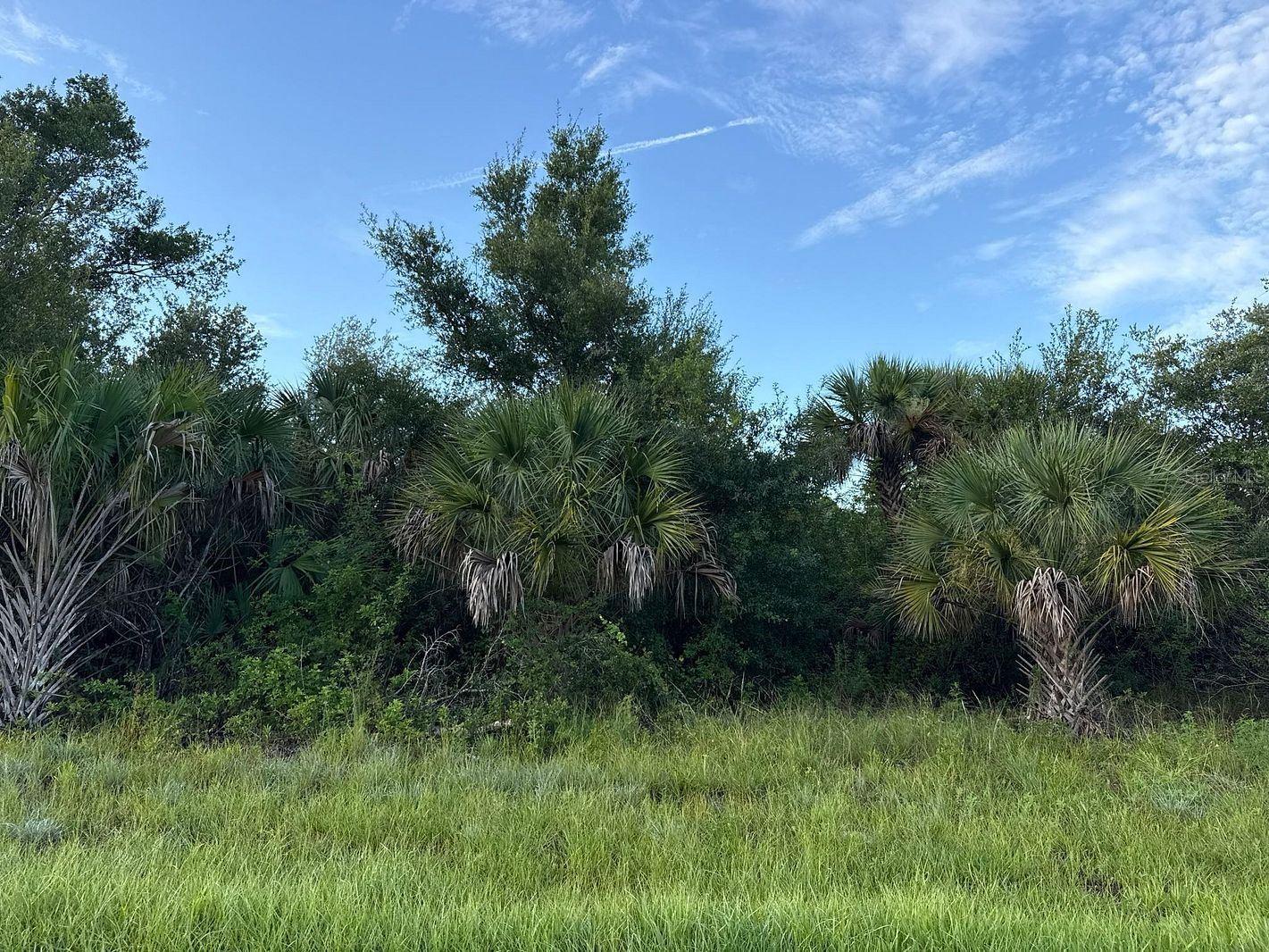 • ?? Located in Port Charlotte Section 17 – quiet, fast-growing neighborhood
• ?? 90’ x 125’ lot – over 11,000 sq ft (.25 acre) of buildable space
• ?? Zoned RSF3.5 – perfect for a single-family home
• ??? Ideal for builders, investors, or owner-occupants
• ?? Flood Zone X – no flood insurance required
• ? Utilities nearby – water and electric close by (verify with county)
• ?? No HOA, no deed restrictions, and no scrub jay zone reported (buyer to confirm)
• ?? Surrounded by new construction – high potential for ROI
• ??? Easy access to US-41, I-75, schools, shopping, beaches & golf
• ??? Minutes from Charlotte Harbor and the new Sunseeker Resort
• ?? Great for spec builds, retirement homes, or land banking