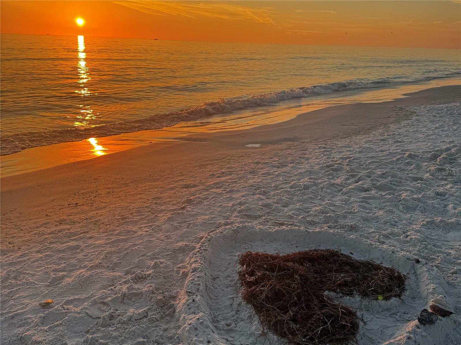 MANGROVE WALK ON HARBOUR ISLE PH 5 - Residential