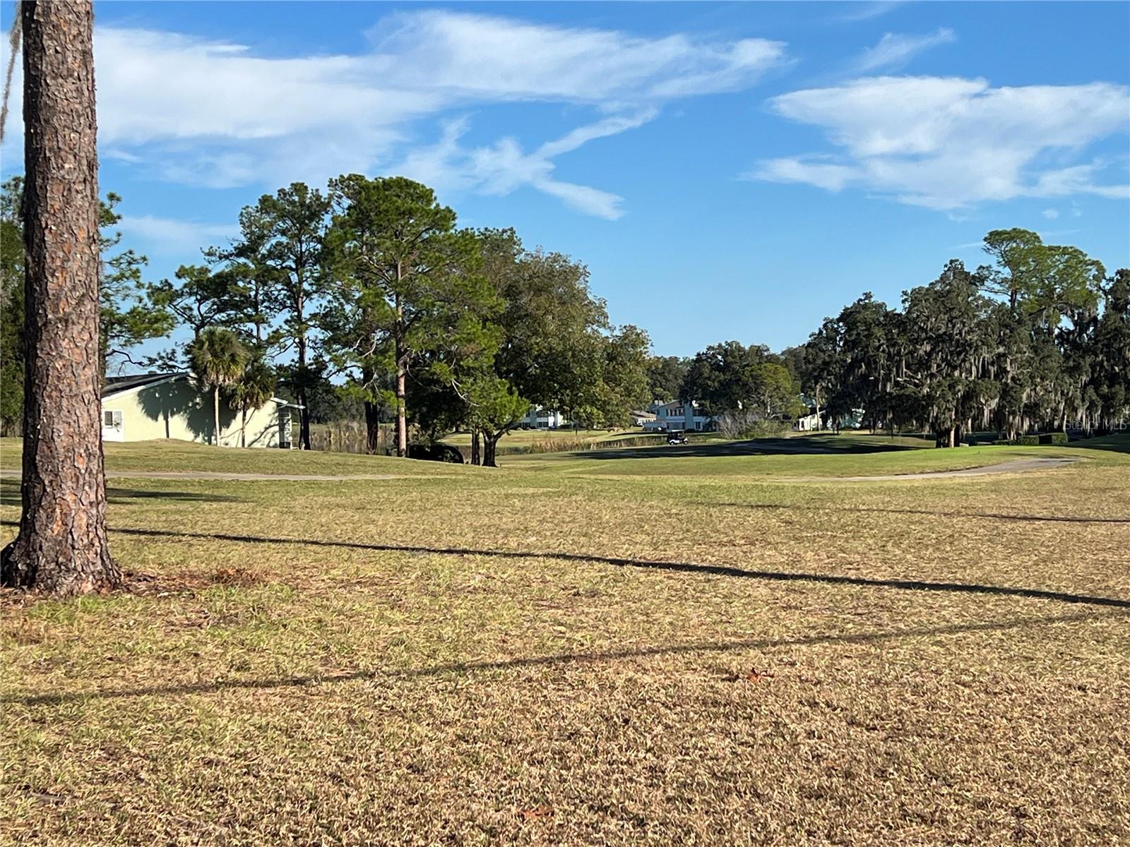 THE FAIRWAYS SILVER SPRINGS SHORES - Residential