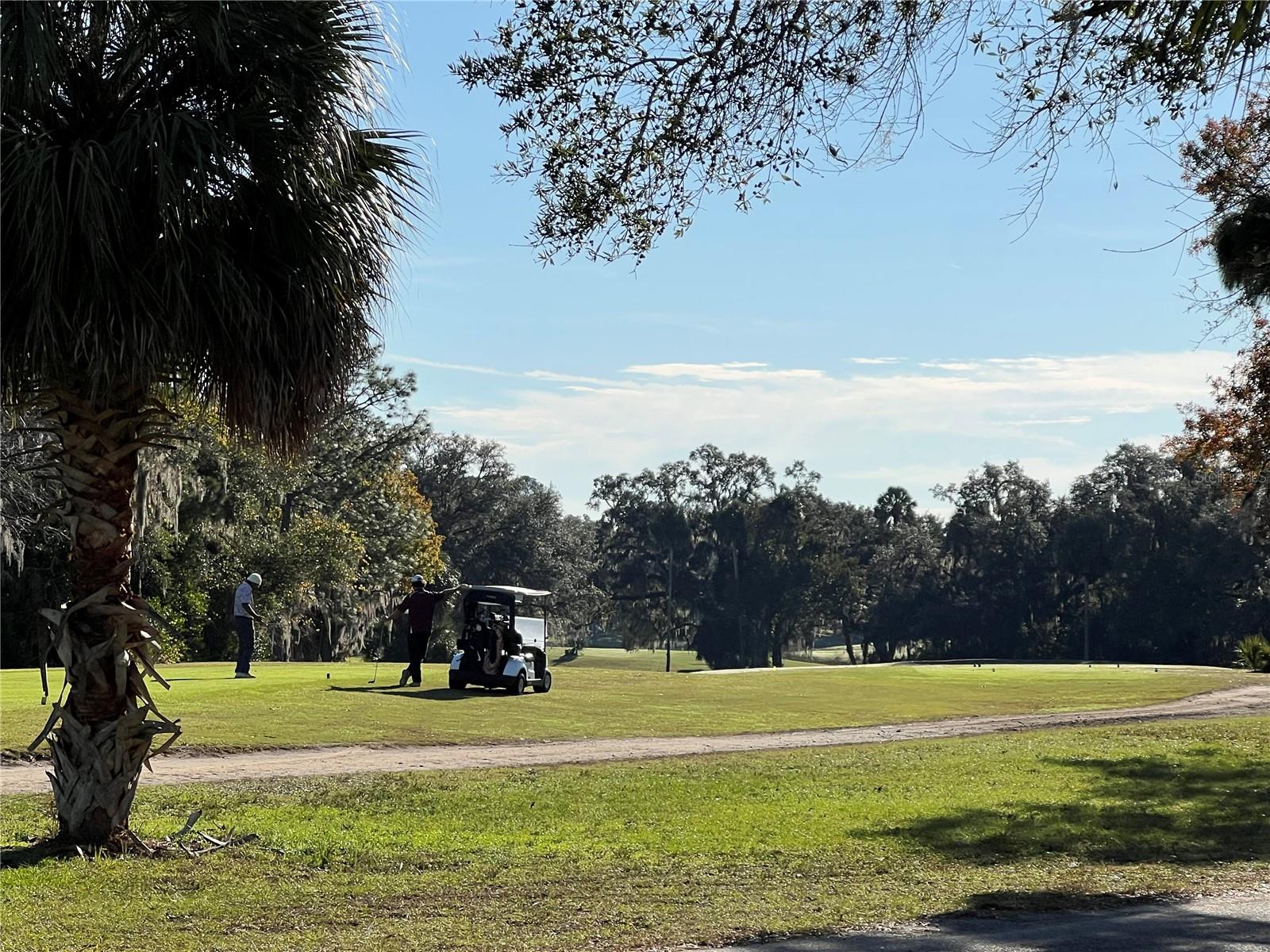 THE FAIRWAYS SILVER SPRINGS SHORES - Residential