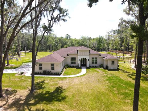 14950 NW 216TH PLACE MICANOPY FL 32667
