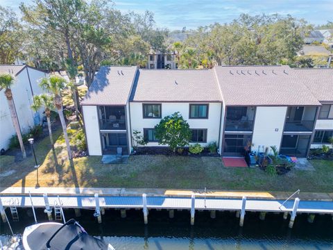 A home in TARPON SPRINGS