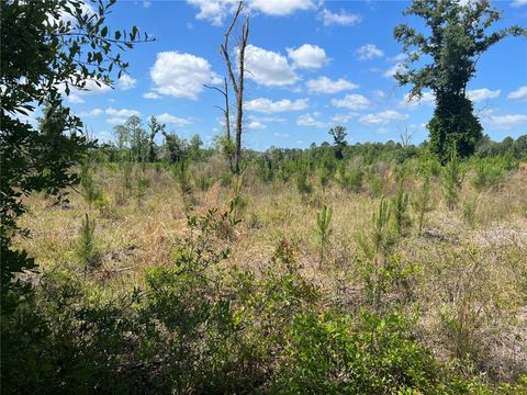 Tiny photo for Hwy 40, Dunnellon, FL 34430 (MLS # P4930255)