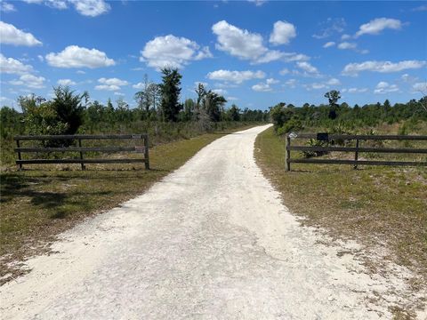 Tiny photo for Hwy 40, Dunnellon, FL 34430 (MLS # P4930255)