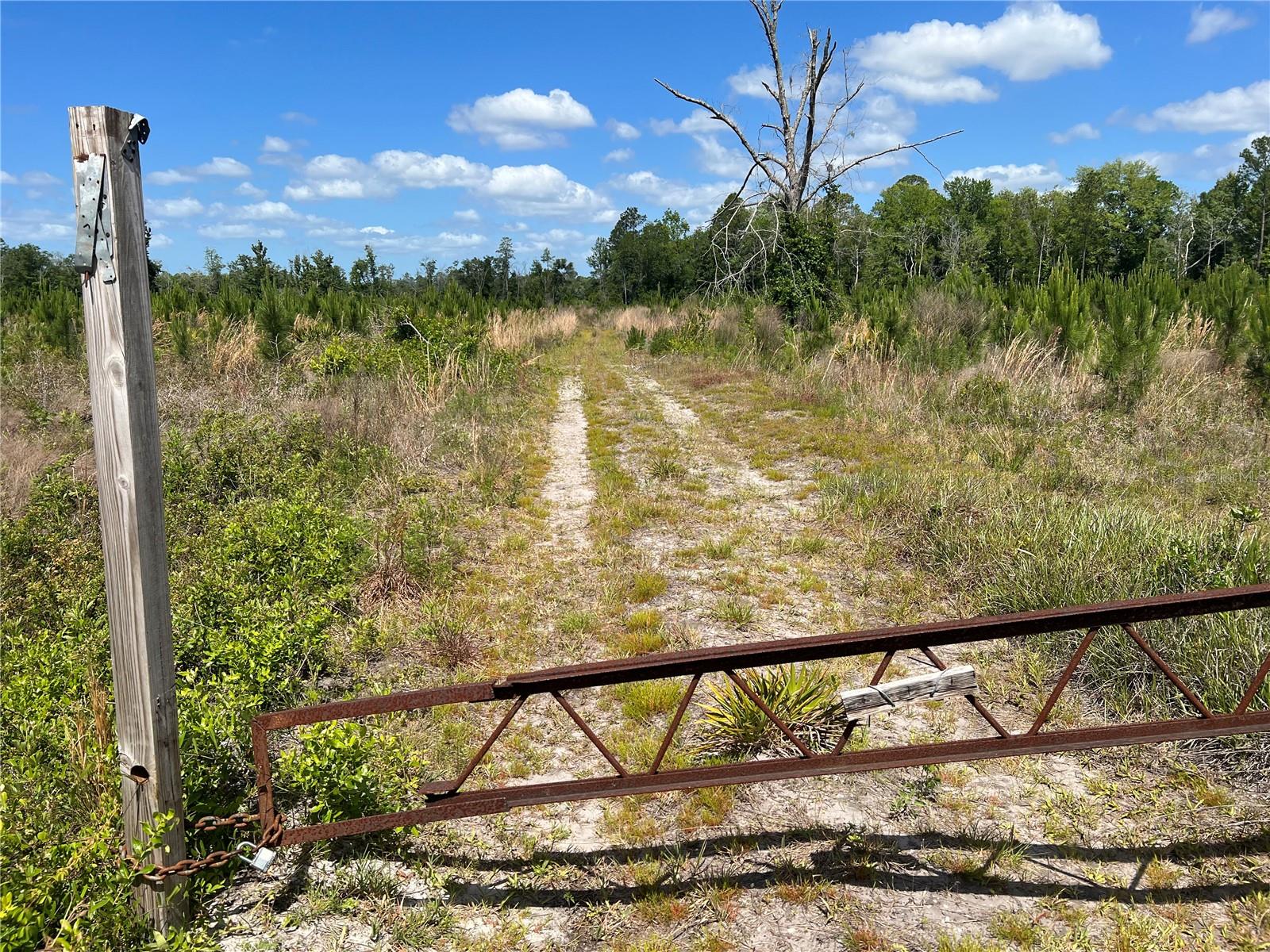 HWY 40