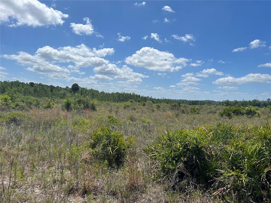 655 ACRES FOR SALE IN MARION COUNTY......1+ mile along the Withlacoochee River and 2+ miles of paved frontage on Hwy. 40.  Land is high and dry and the whole site has been replanted in pine trees.  Zoning is currently 1 per 10 acres.  Public Utilities are located to the East  along Dunnellon city limits.  Small creek runs through the site to the river.  Available tp be seem conveniently for any Buyers interested.  Owner/Family not interested in selling small parcels to multiple buyers, might consider 2 large tracts.  Site made up of multiple parcels as shown in photo attachment. Several families in ownership therefore allow ample time for any contract offers to be reviewed.