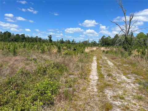 Tiny photo for Hwy 40, Dunnellon, FL 34430 (MLS # P4930255)