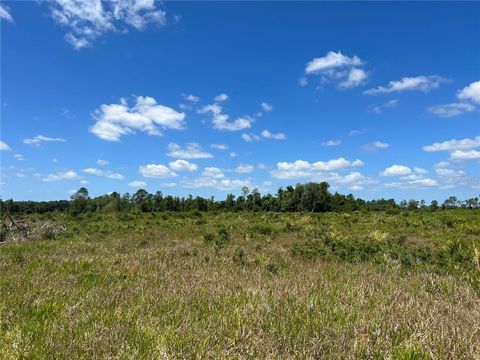 Tiny photo for Hwy 40, Dunnellon, FL 34430 (MLS # P4930255)