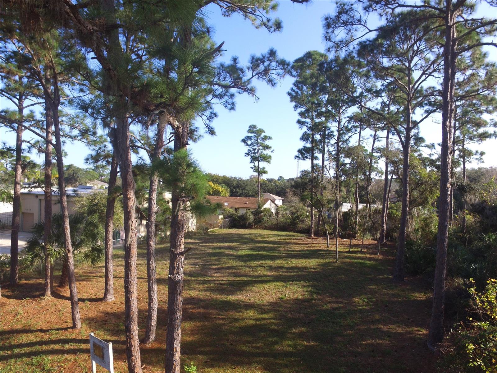 Florida Shores 01 - Land