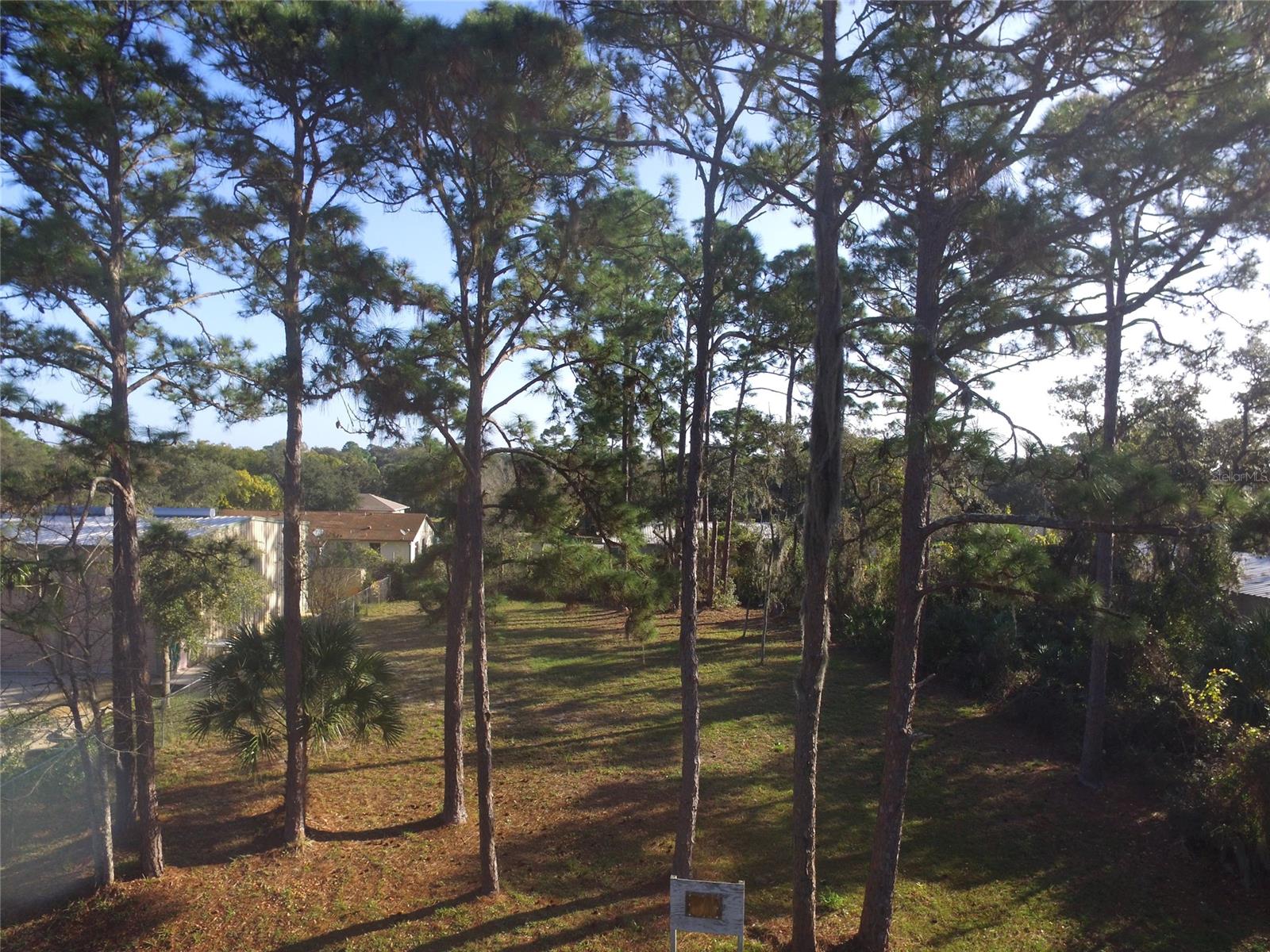 Florida Shores 01 - Land