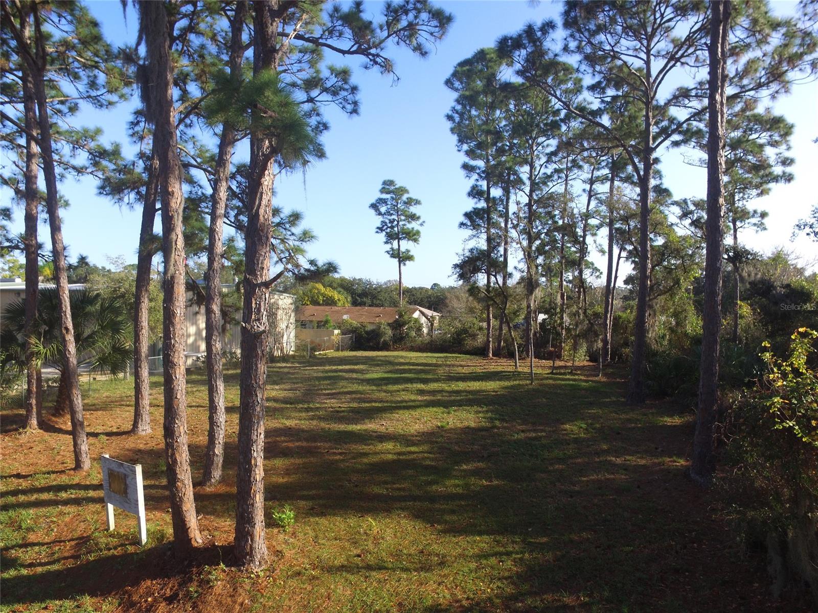 Florida Shores 01 - Land