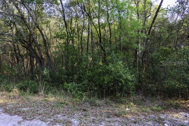 PINE TREE VILLA UNREC SUB - Land