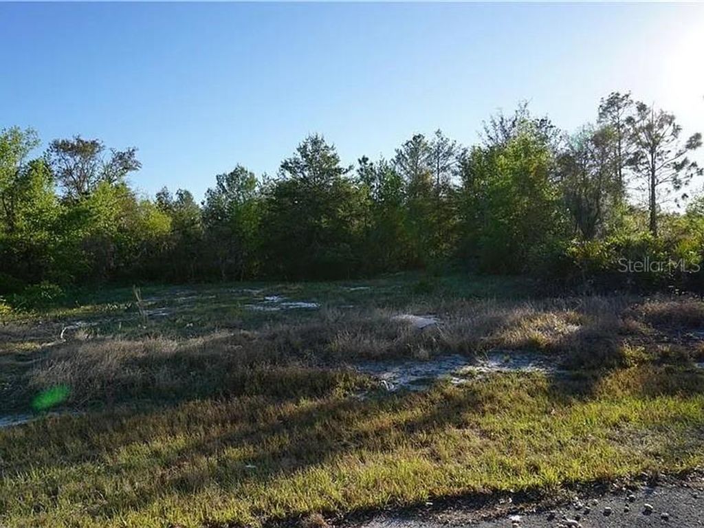 Photo of 1327 St Augustine Court, Kissimmee, FL 34759 (MLS # A4670305)