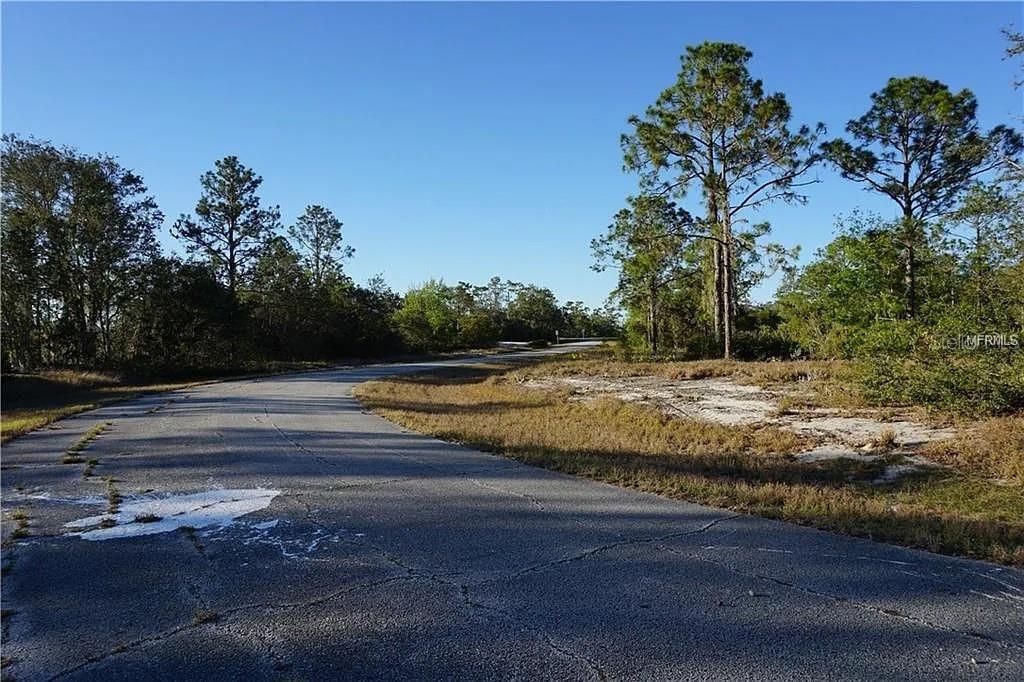 Photo of 1327 St Augustine Court, Kissimmee, FL 34759 (MLS # A4670305)