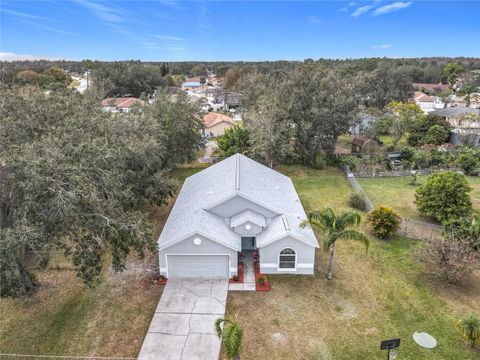 A home in KISSIMMEE