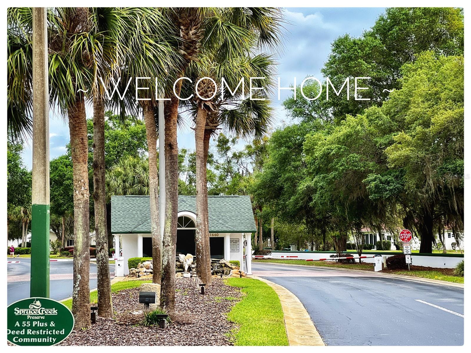SPRUCE CREEK PRESERVE - Residential