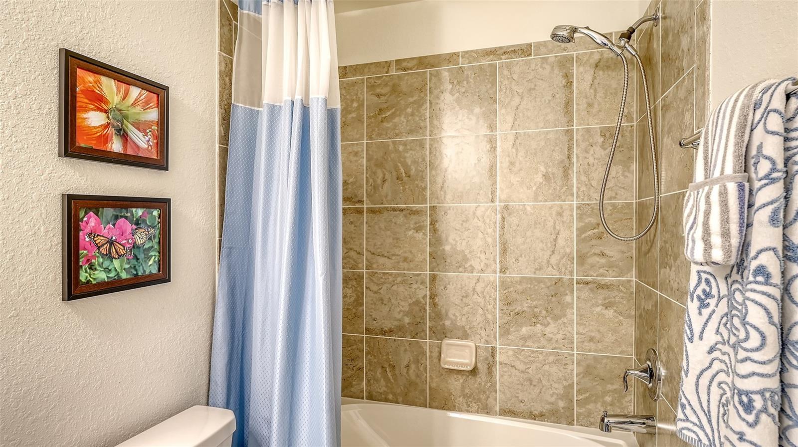 TIDEWATER PRESERVE - Residential