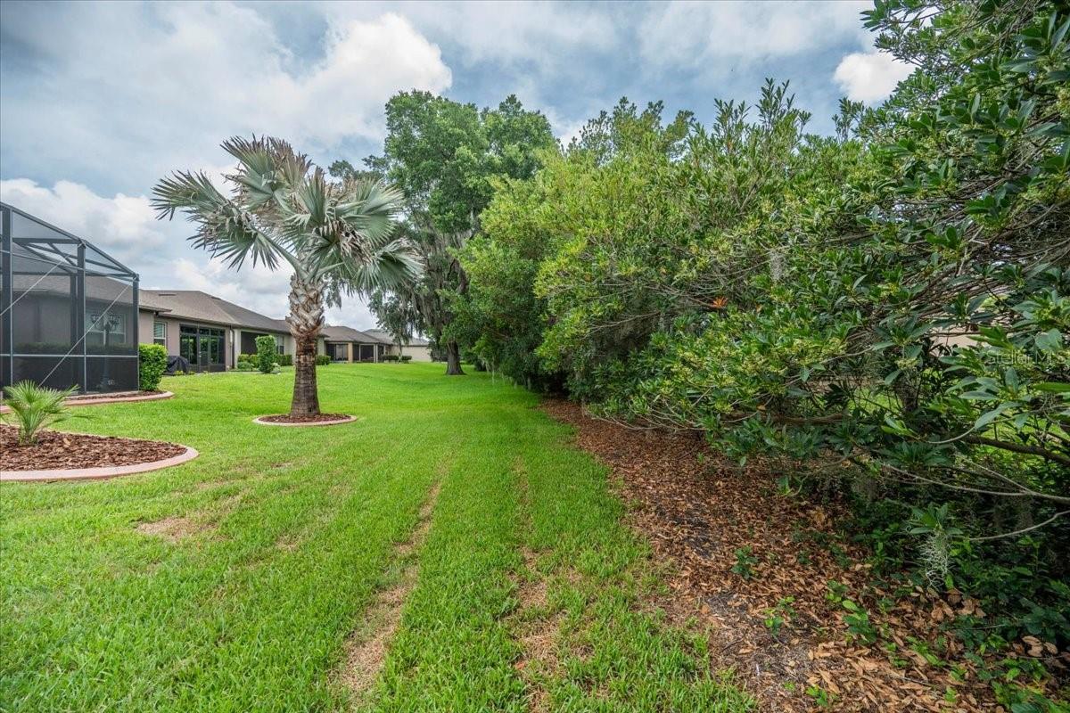 DEL WEBB ORLANDO PH 2A - Residential