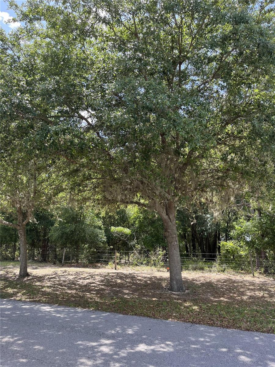 Come visit your NEXTHOME property! Located just west of Orlando, enjoy the rural living in your private AIRPARK! Gated community with the feel and style of old Florida charm. No time to build! Minutes to towns such as Clermont, Mount Dora and Tavares (SeaPlane city). Bring your Plane and enjoy your private runway to the skies! O6-FD -coordinates to Grass Roots airpark. Enjoy rural living, yet close to the Florida Turnpike North to Ocala, or South to Orlando and Disney area. OIA and TIA just a short flight or an hours drive to either airport. Community boast the style of yesteryear, its own clubhouse, runway and occassiional FLY-INs. Bring your family, and enjoy the fresh air and blue skies in your piece of Florida paradise. Schedule your showing today!