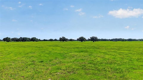 Tiny photo for Tbd E C 478, Webster, FL 33597 (MLS # G5087321)