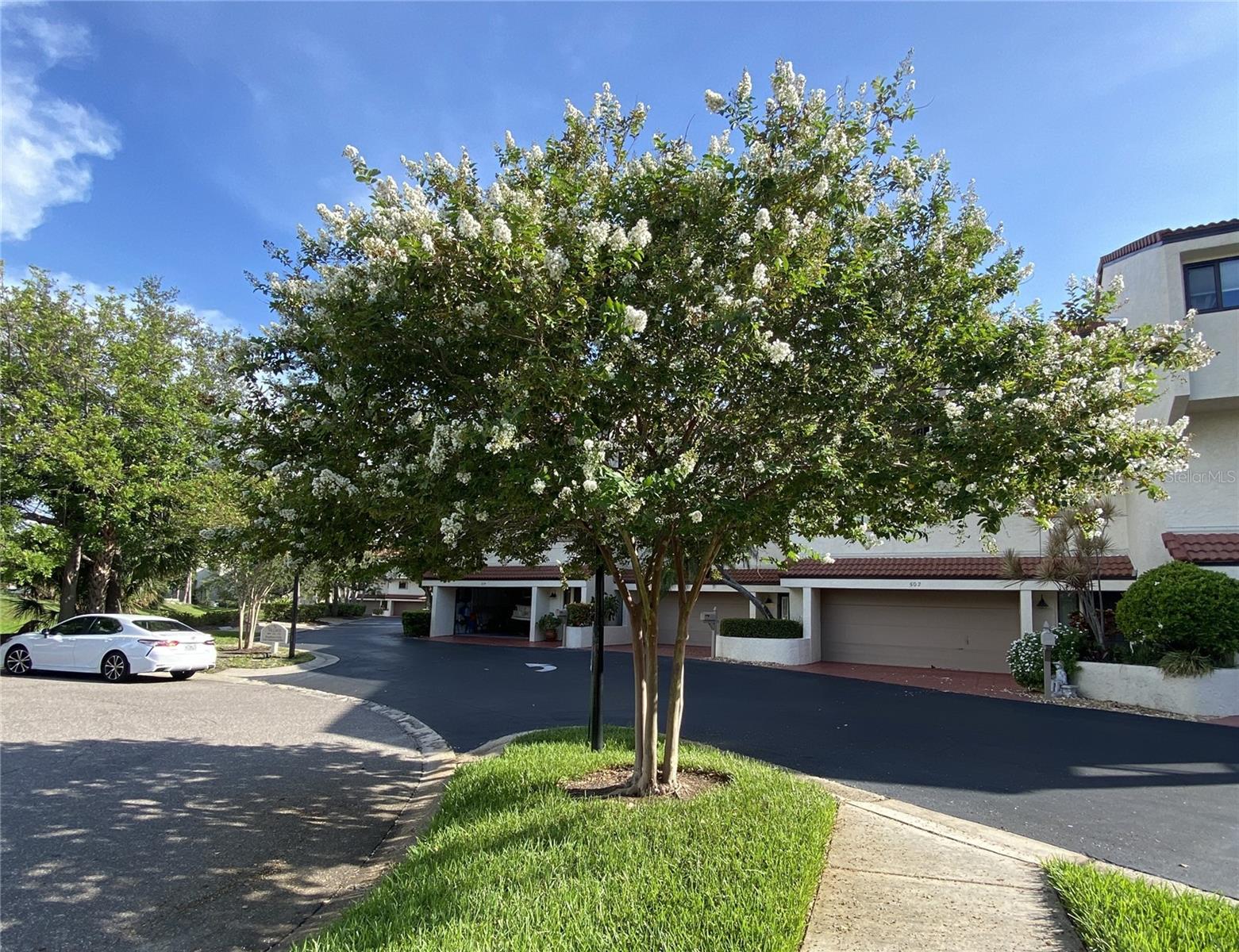 240 WINDWARD PASSAGE 504