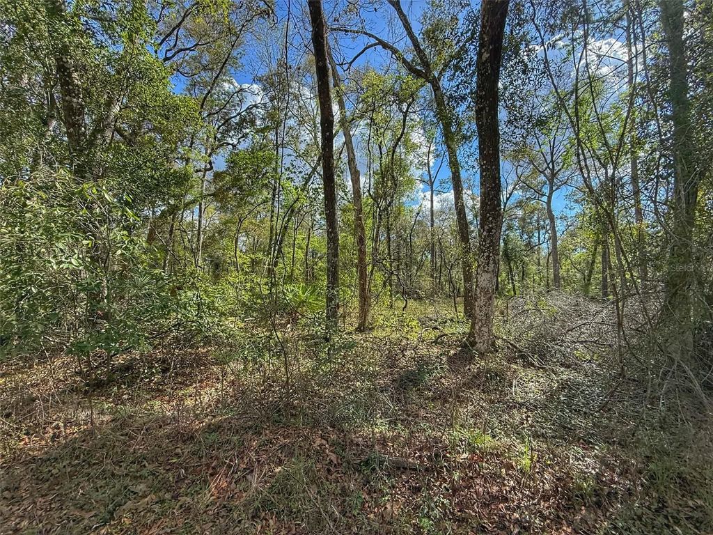 Photo of Tbd SW 14th Place, Bell, FL 32619 (MLS # GC538360)