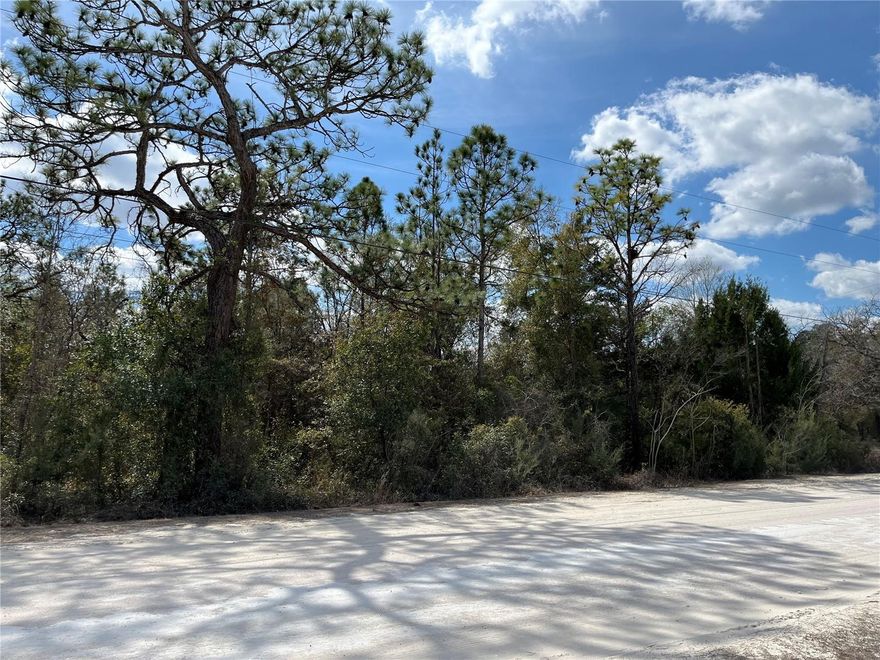 This piece of vacant land is just waiting for you to enjoy.  Located on Peaceful Ave., there are 2 1/2 Acres available in beautiful, rural Weeki Wachee.  Flood zone X make it even better.  Within minutes of the springs, walking trails and bird sanctuary.  Bring your 4-wheeler, kayaks, canoes, bikes and enjoy nature.  Set up your tents and get the bonfire going.  Get out of the city.  A great place for a 2nd home/mobile home or build your dream home and stay!  No Deed Restrictions. There are electric poles marking the property.