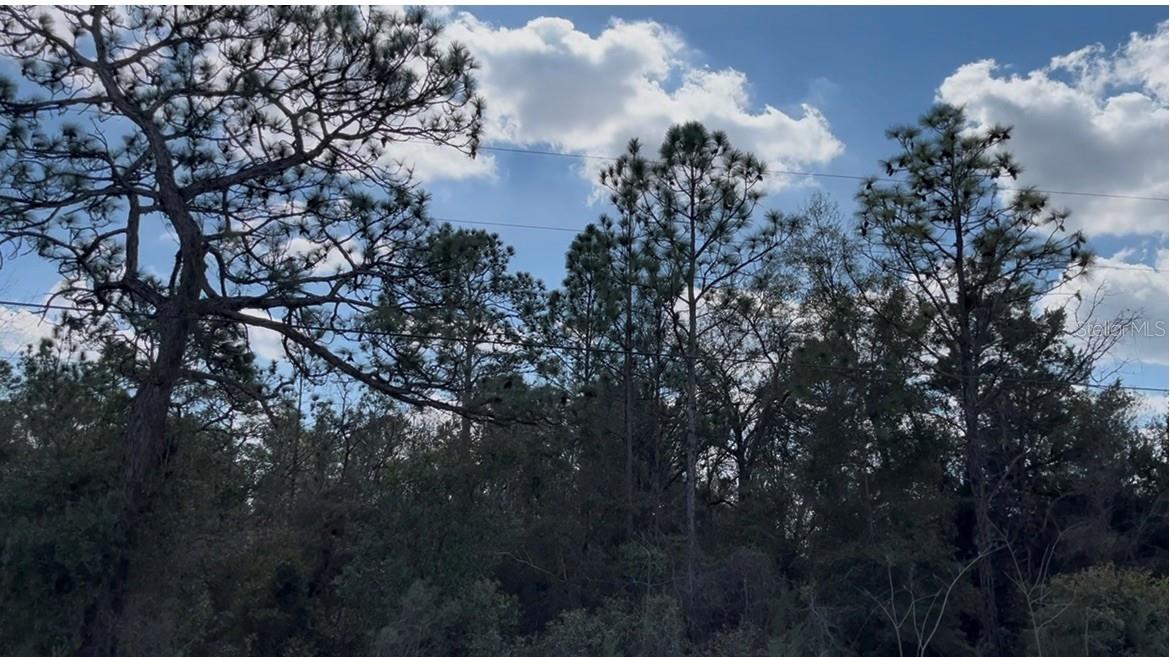 LEISURE RETREATS - Land