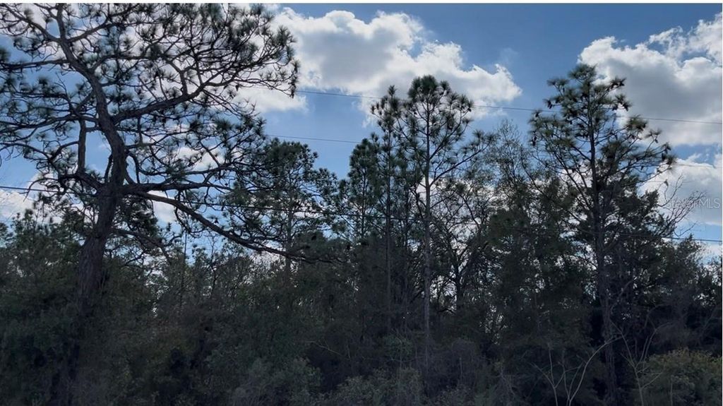 Photo of 12270 Peaceful Avenue, Weeki Wachee, FL 34614 (MLS # TB8477660)