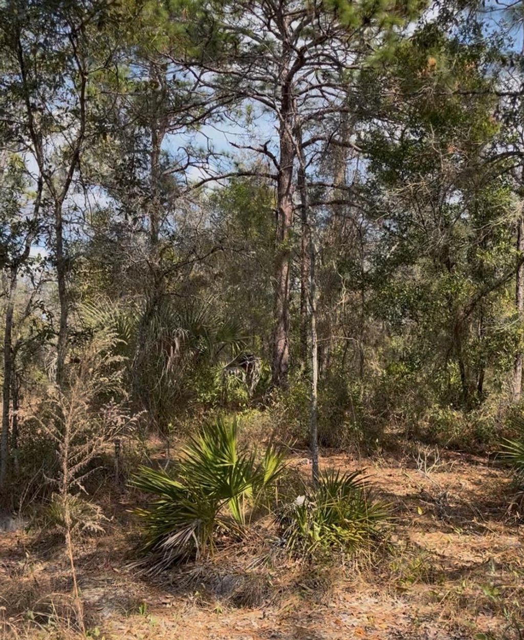 Photo of 12270 Peaceful Avenue, Weeki Wachee, FL 34614 (MLS # TB8477660)