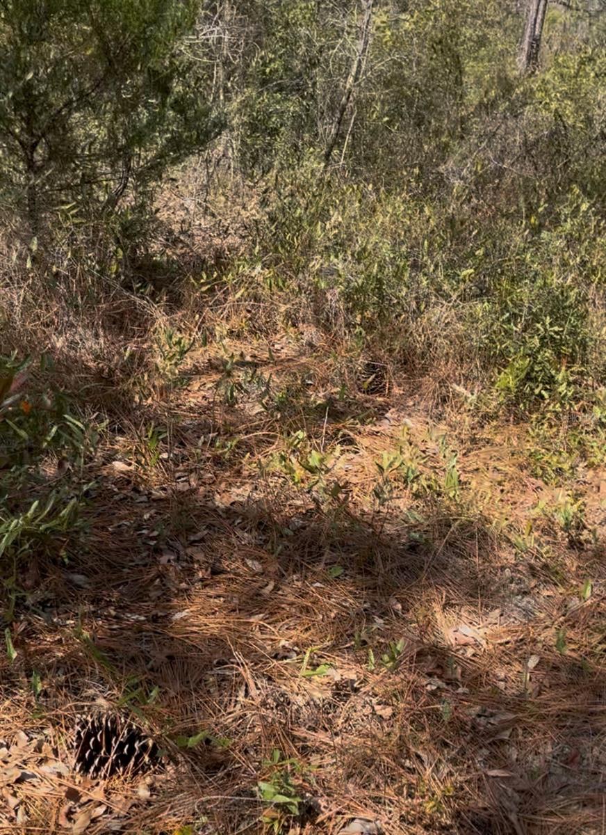 LEISURE RETREATS - Land