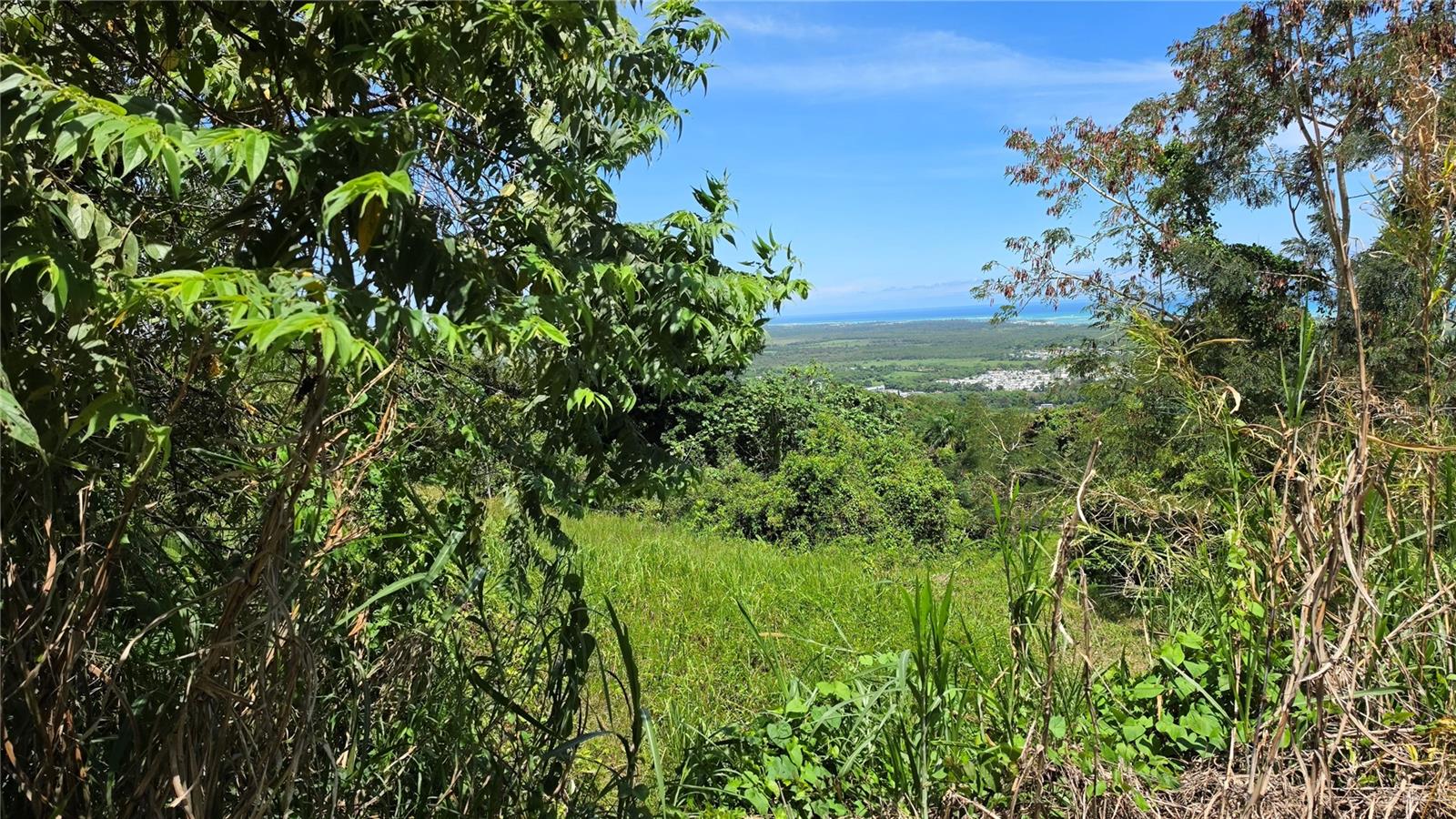 Zarzal Arriba CARR. 966 KM 2.3 K