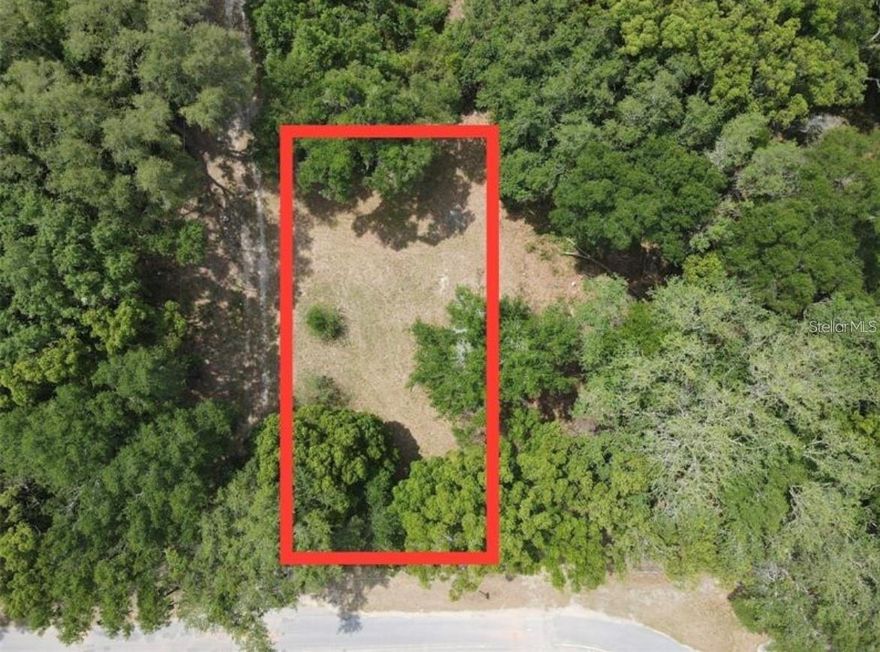 Are you looking for a rural and private lot to build your dream home but need to be centrally located? This lot is the best of both worlds! It is a short commute to Ocala, Belleview and The Villages and only a few minutes from the beautiful Lake Weir. The lot is partially cleared and waiting for you!