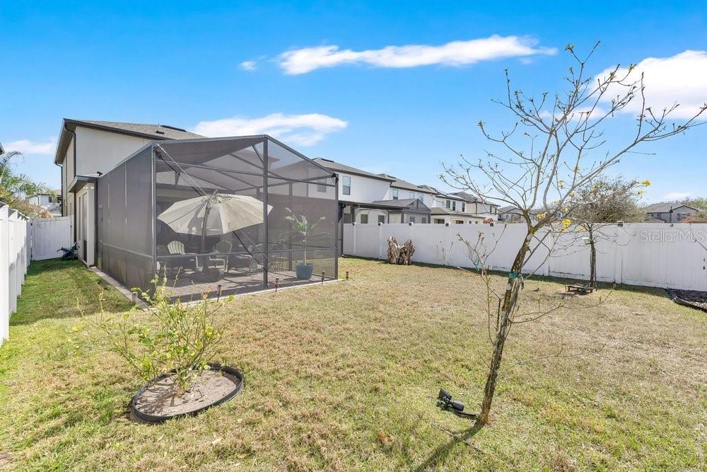 MOSS PARK PRESERVE - Residential