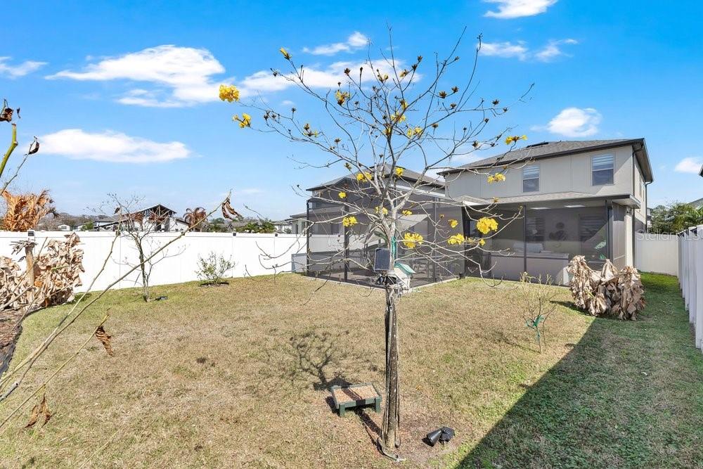 MOSS PARK PRESERVE - Residential