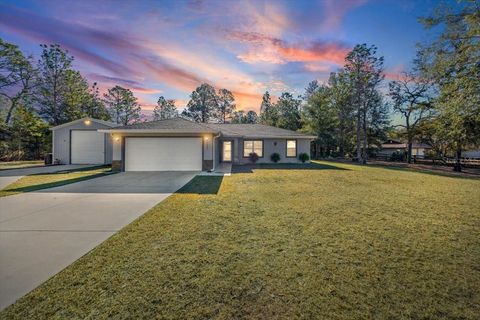 Photo of 9085 SW 202nd Avenue Road, Dunnellon, FL 34431 (MLS # OM718325)