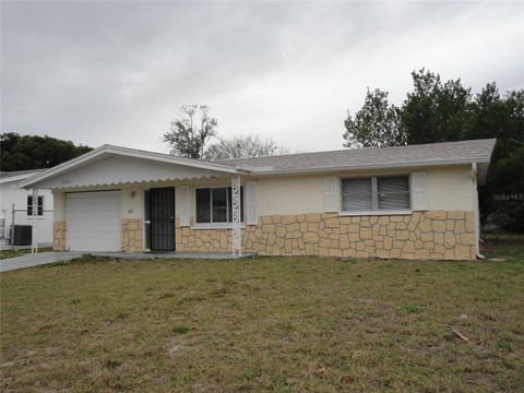 A home in PORT RICHEY