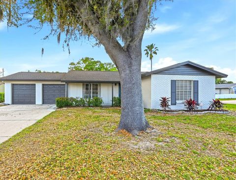 Photo of 18320 Dolly Brook Lane, Lutz, FL 33549 (MLS # TB8501081)