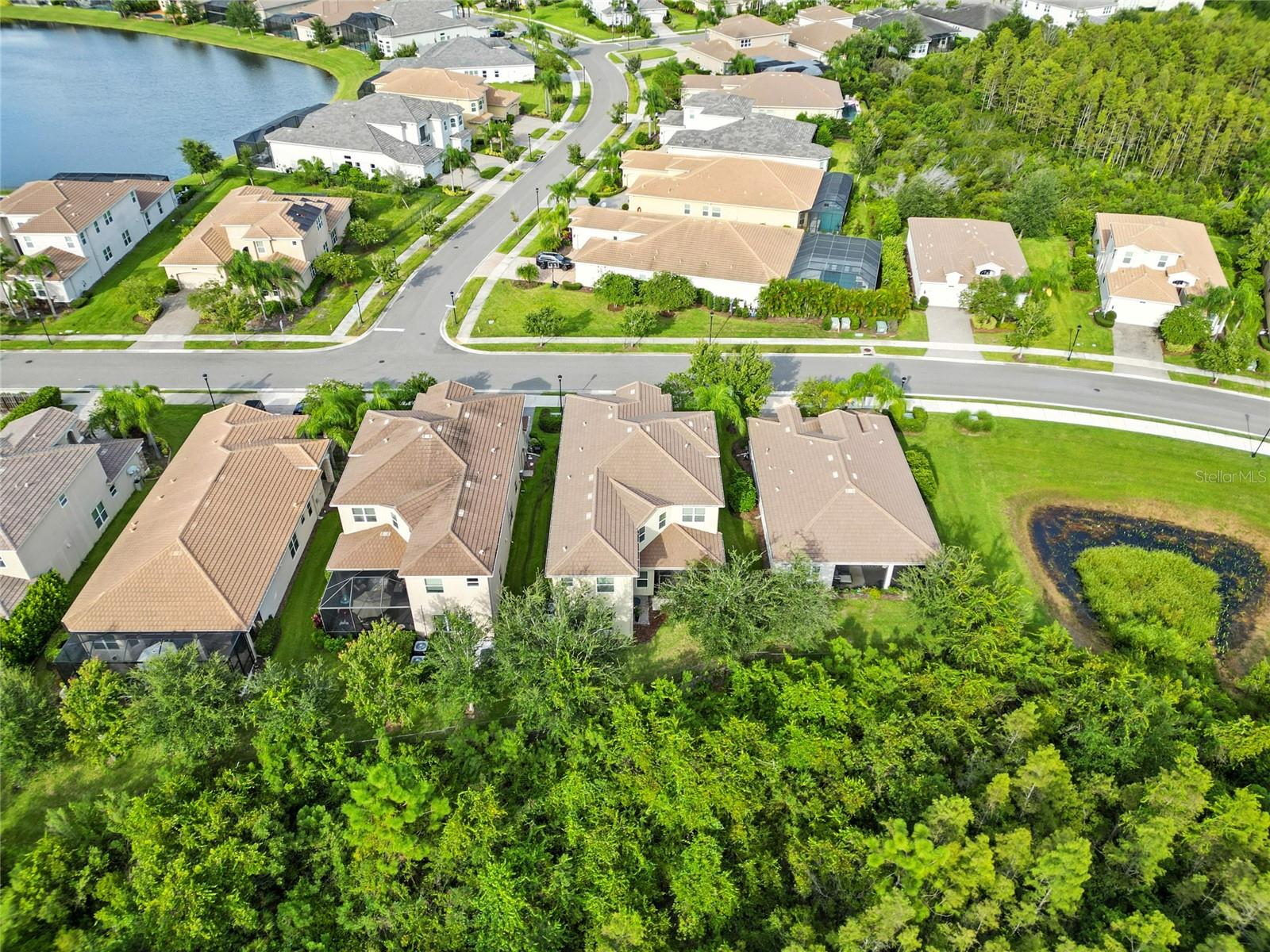 THE RIDGE AT WIREGRASS - Residential
