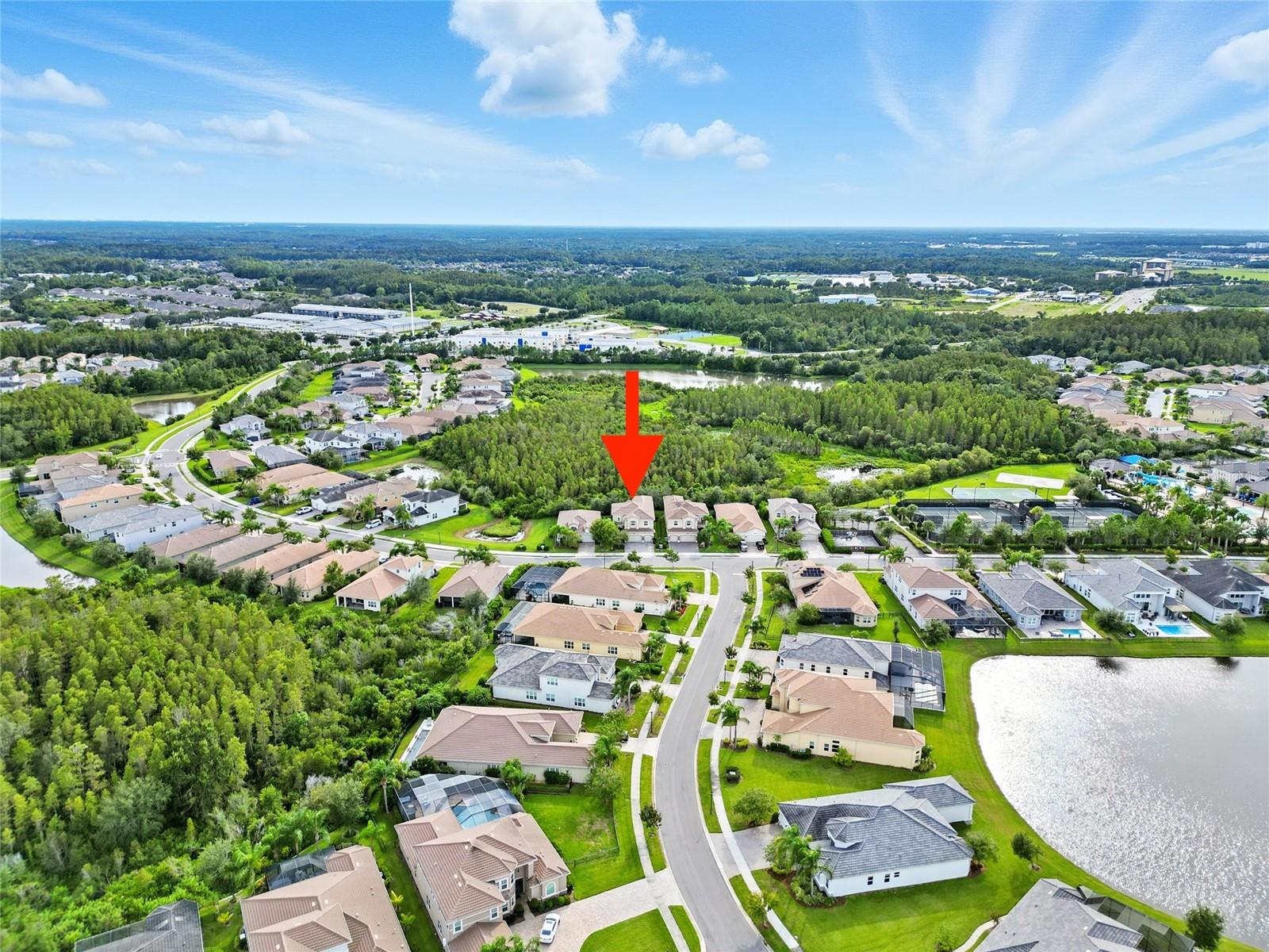 THE RIDGE AT WIREGRASS - Residential