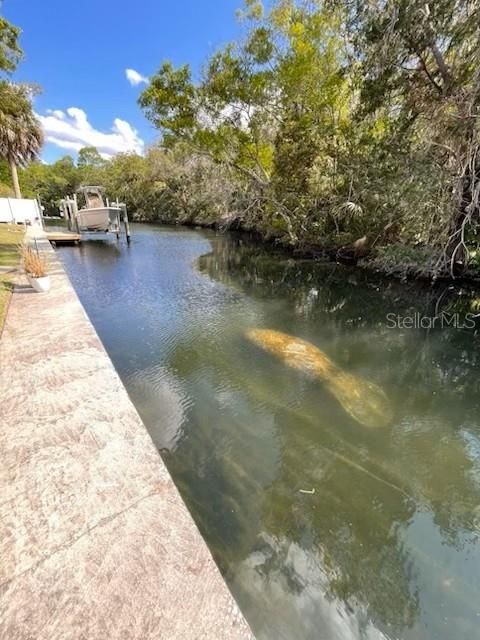 2160 N WATERSEDGE DRIVE CRYSTAL RIVER FL 34429