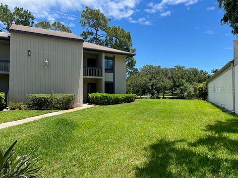 Photo of 140 Nina Way, Oldsmar, FL 34677 (MLS # TB8397910)