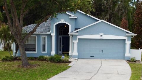 Photo of 6323 Open Pasture Court, Wesley Chapel, FL 33545 (MLS # TB8498076)