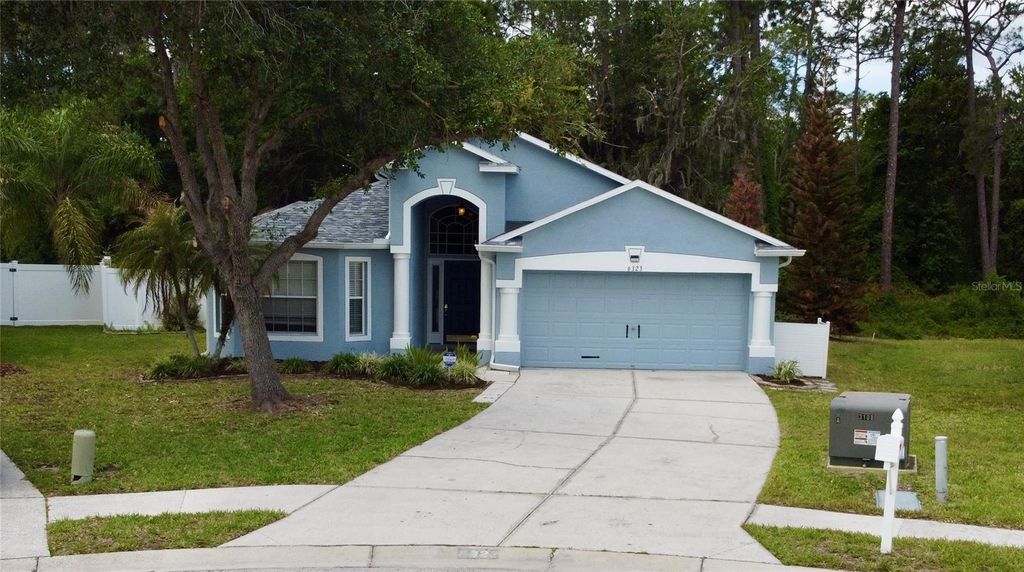 Photo of 6323 Open Pasture Court, Wesley Chapel, FL 33545 (MLS # TB8498076)