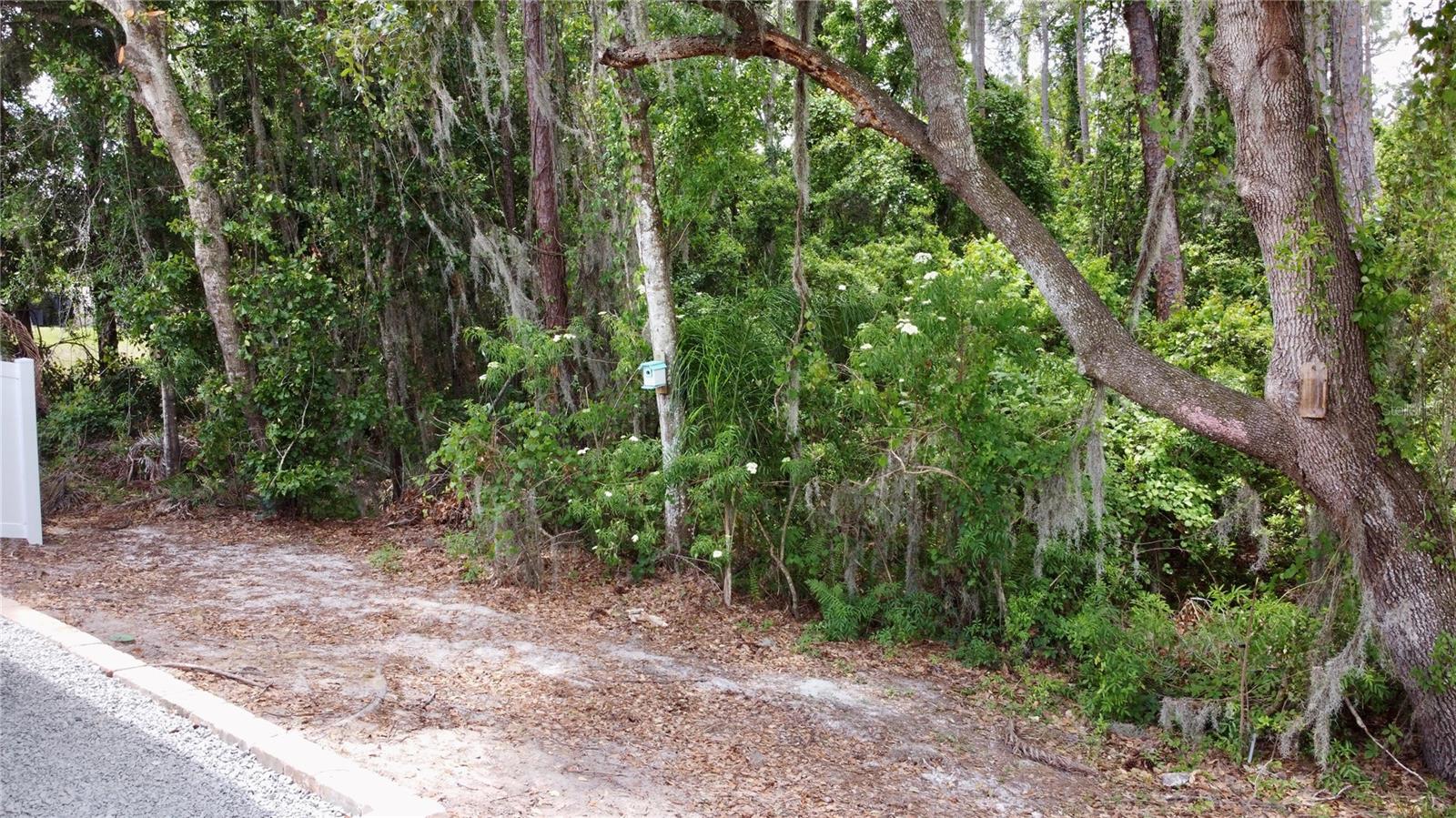 CHAPEL PINES - Residential