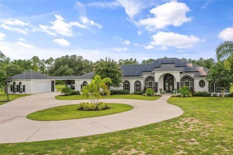 A home in WINTER GARDEN