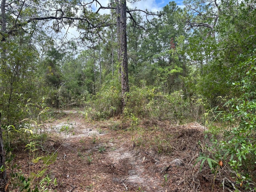 Photo of 18379 Thomas Boulevard, Hudson, FL 34667 (MLS # TB8528440)