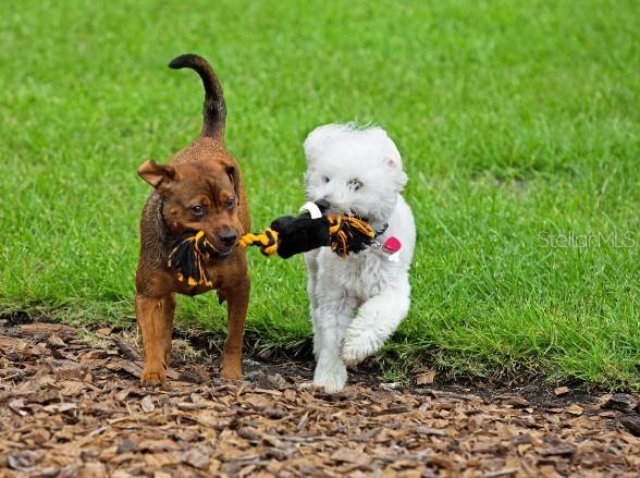 OAKSTONE FARMS - Residential